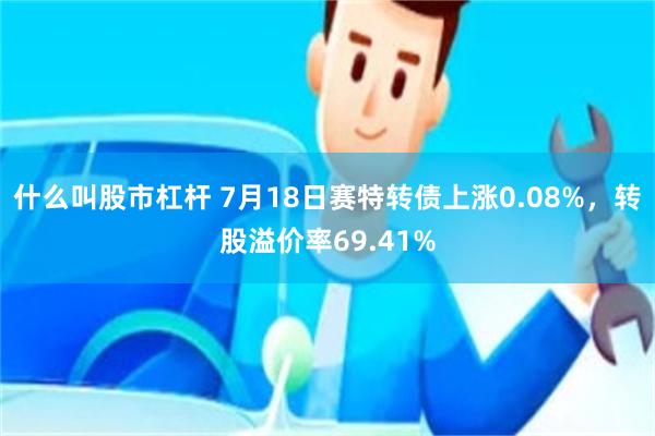 什么叫股市杠杆 7月18日赛特转债上涨0.08%，转股溢价率69.41%