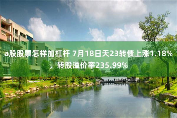 a股股票怎样加杠杆 7月18日天23转债上涨1.18%，转股溢价率235.99%