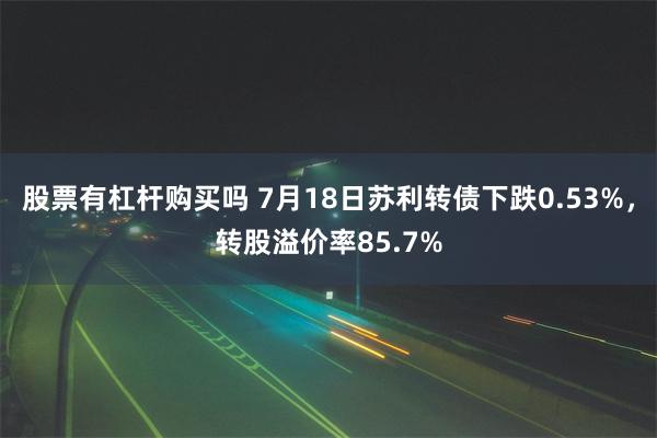 股票有杠杆购买吗 7月18日苏利转债下跌0.53%，转股溢价率85.7%