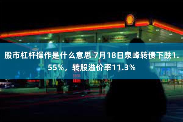 股市杠杆操作是什么意思 7月18日泉峰转债下跌1.55%，转股溢价率11.3%