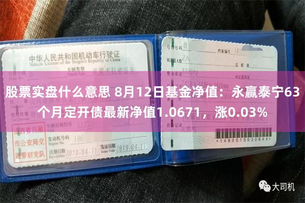 股票实盘什么意思 8月12日基金净值：永赢泰宁63个月定开债最新净值1.0671，涨0.03%