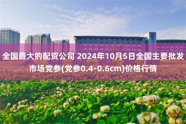 全国最大的配资公司 2024年10月5日全国主要批发市场党参(党参0.4-0.6cm)价格行情