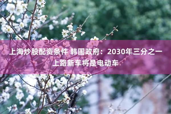 上海炒股配资条件 韩国政府：2030年三分之一上路新车将是电动车