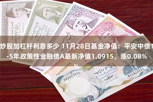 炒股加杠杆利息多少 11月28日基金净值：平安中债1-5年政策性金融债A最新净值1.0915，涨0.08%