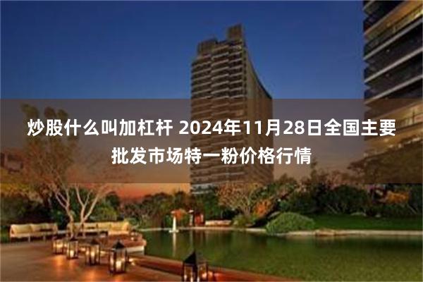 炒股什么叫加杠杆 2024年11月28日全国主要批发市场特一粉价格行情