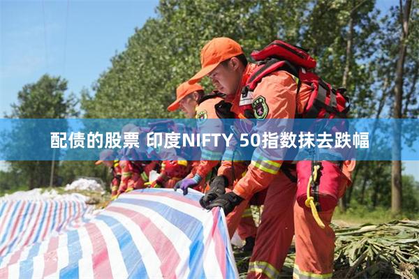 配债的股票 印度NIFTY 50指数抹去跌幅