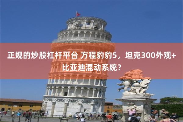 正规的炒股杠杆平台 方程豹豹5，坦克300外观+比亚迪混动系统？