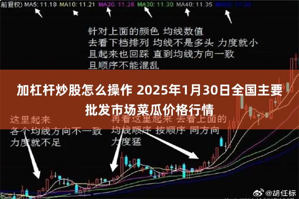 加杠杆炒股怎么操作 2025年1月30日全国主要批发市场菜瓜价格行情